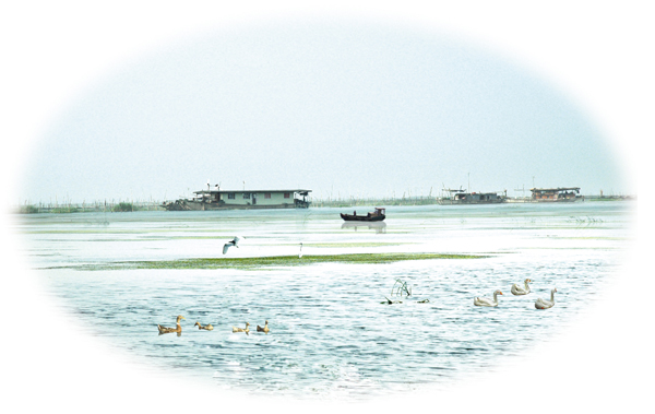 沱河自然保护区