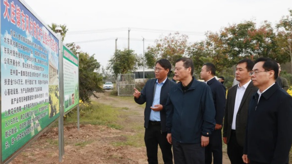 中国一重全华强赴我县开展乡村振兴帮扶调研