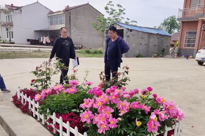 丁湖镇组织开展环境整治观摩活动