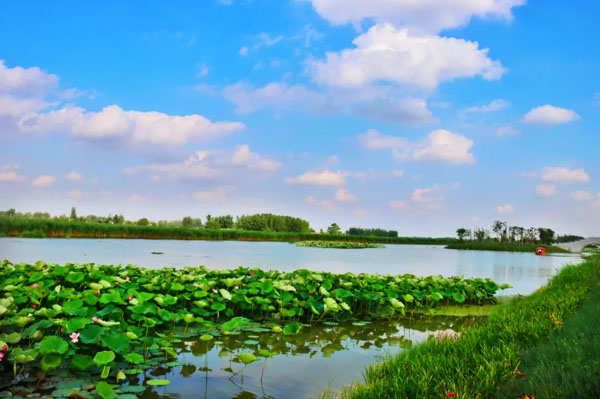泗县石龙湖国家湿地公园