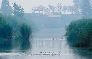 世界文化遗产隋唐大运河“唯一”活态遗址